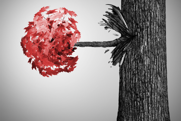 Image intrapreneuriat